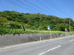 �����C���[�W02