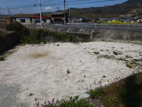 �����C���[�W01