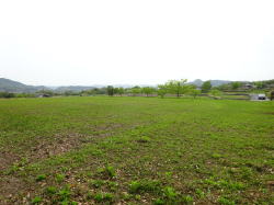 �����C���[�W01