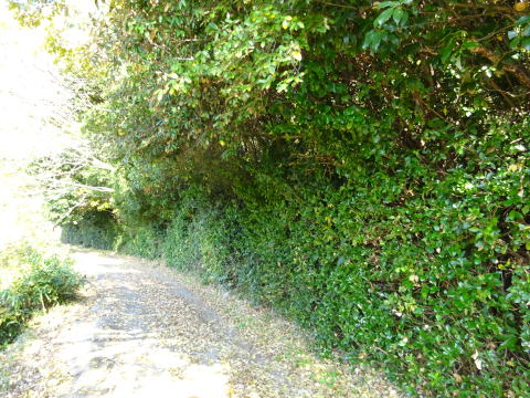 物件イメージ01